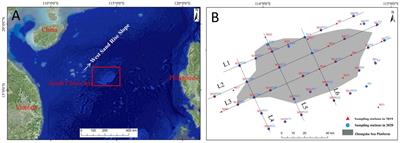 Composition and concentration of suspended matter in the Zhongsha Great Atoll, South China Sea, before and during the summer monsoon